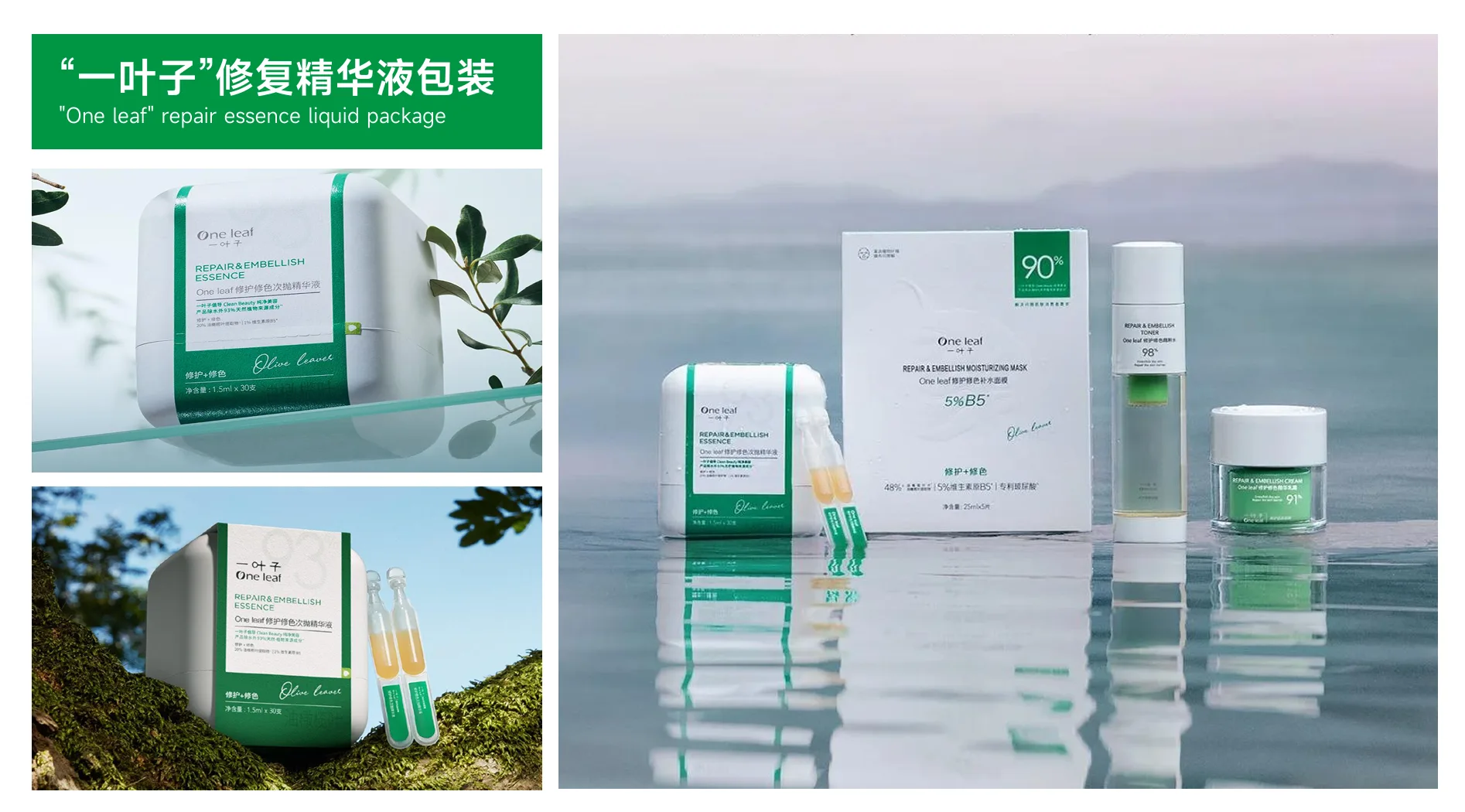 绿色环保纸托 产品图片