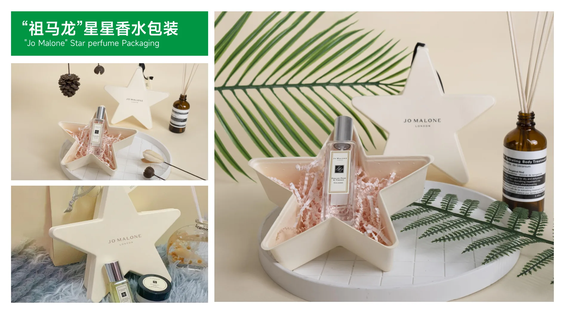 彩色环保纸托 产品图片